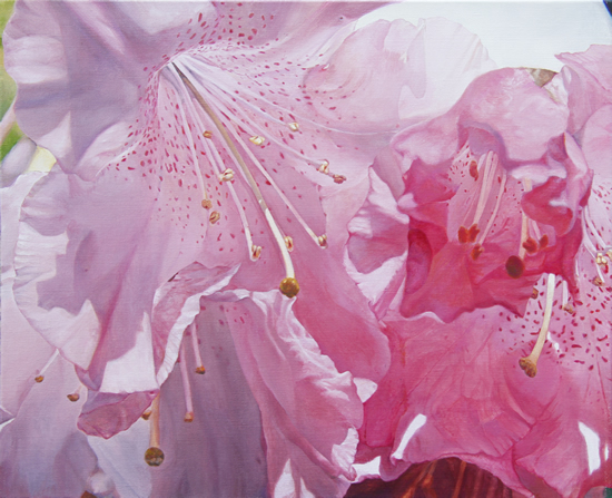 �u����v�@F15�@�L�����o�X�ɖ���