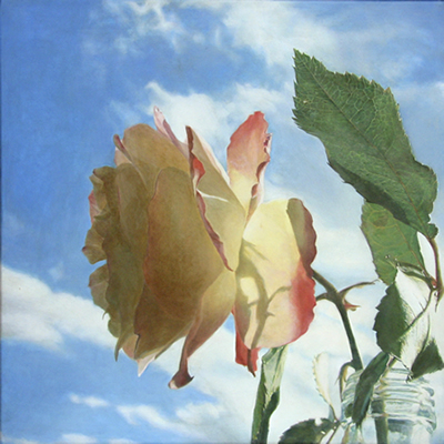 �u���z�̌��͎��������������߂�v�@S10���@�L�����o�X�ɖ���